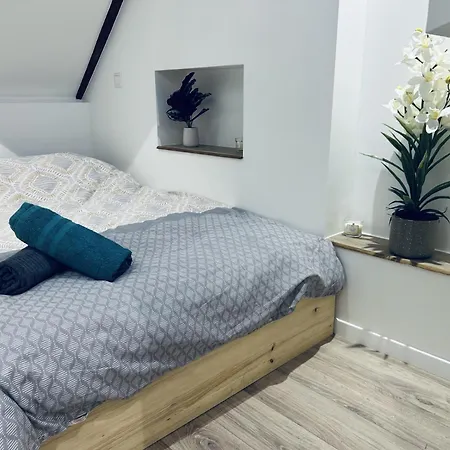 Le Cool A Στρασβούργο