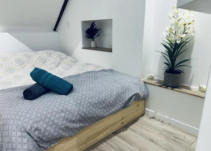 Le Cool A Στρασβούργο